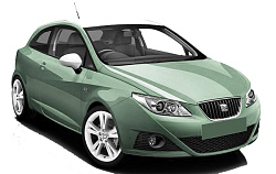 Seat Ibiza 4 поколение (6L1) 2002-2009